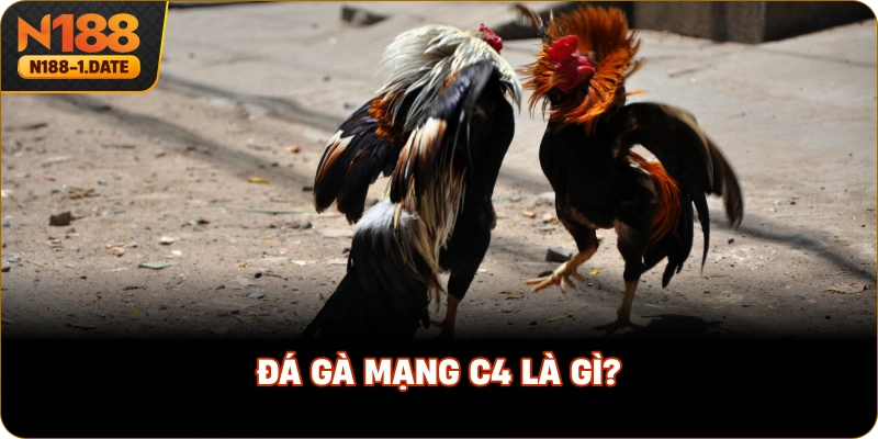 da-ga-mang-c4-la-gi