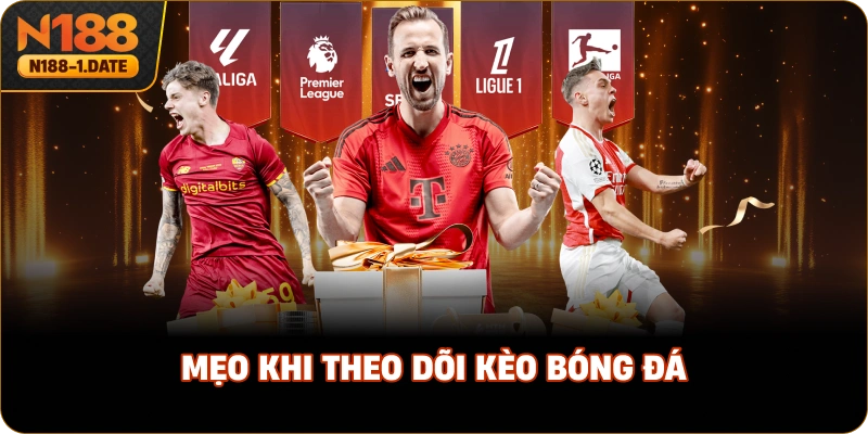 meo-khi-theo-doi-keo-bong-da